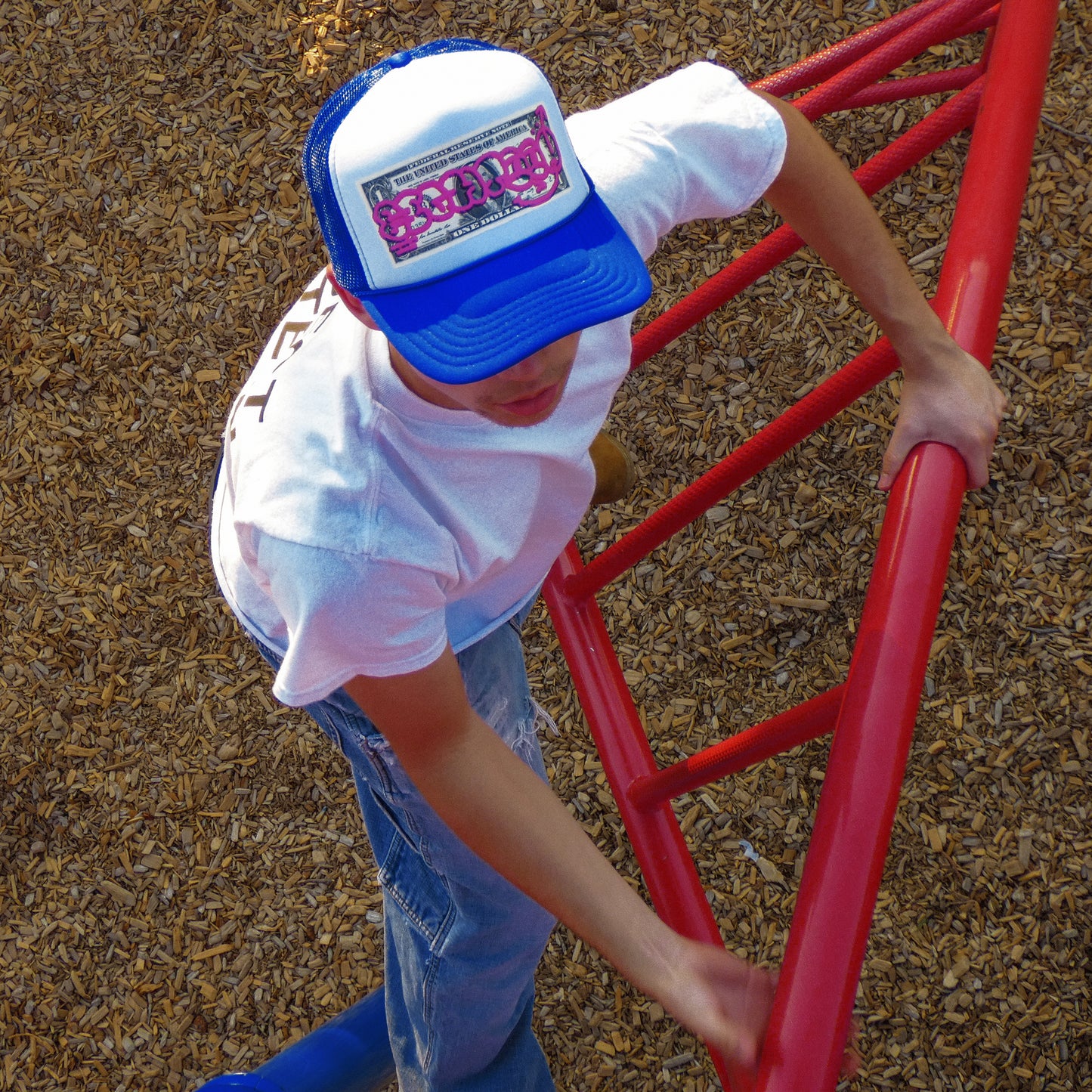 Money Trucker - (Blue)